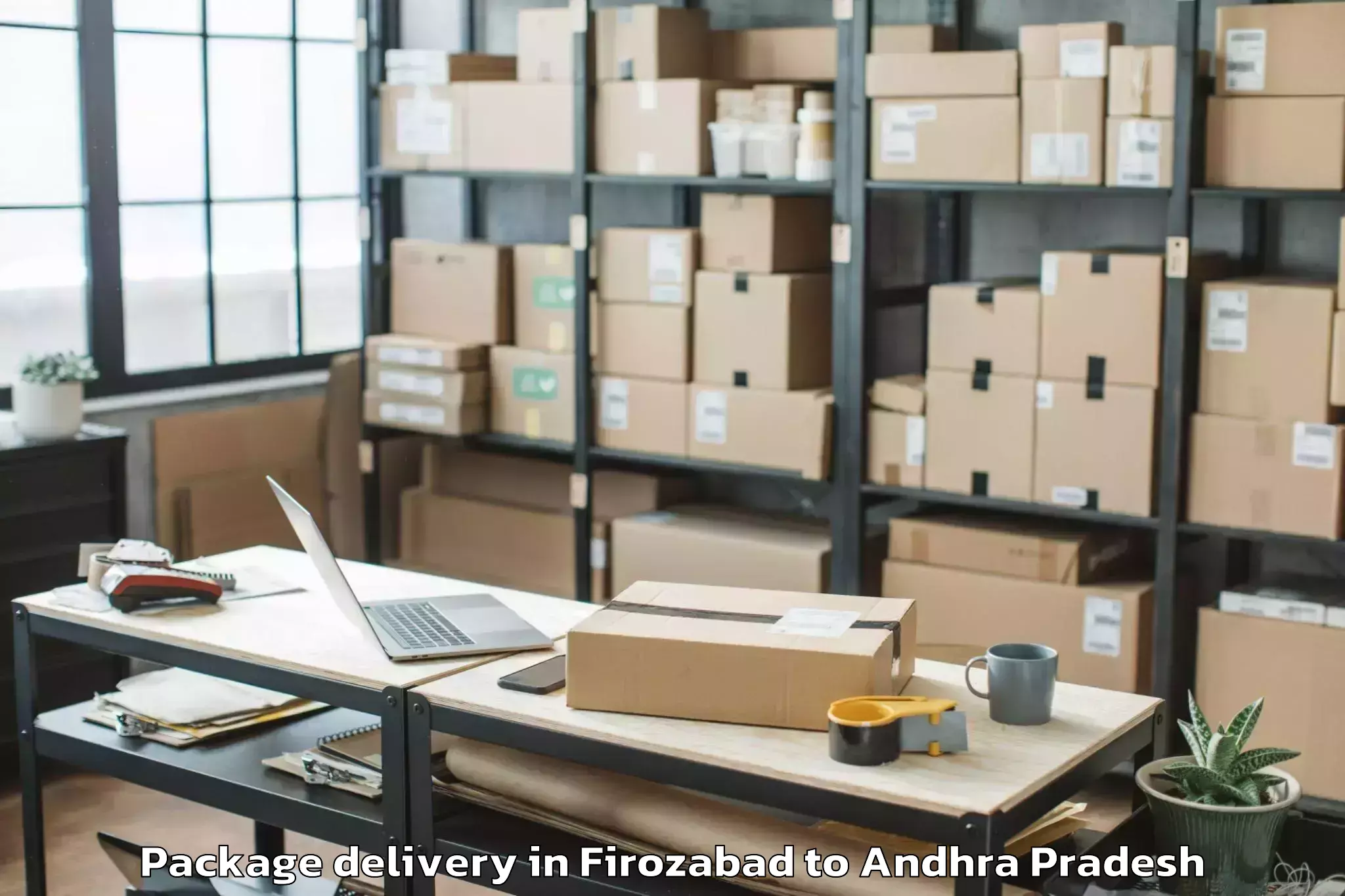 Professional Firozabad to Narpala Package Delivery